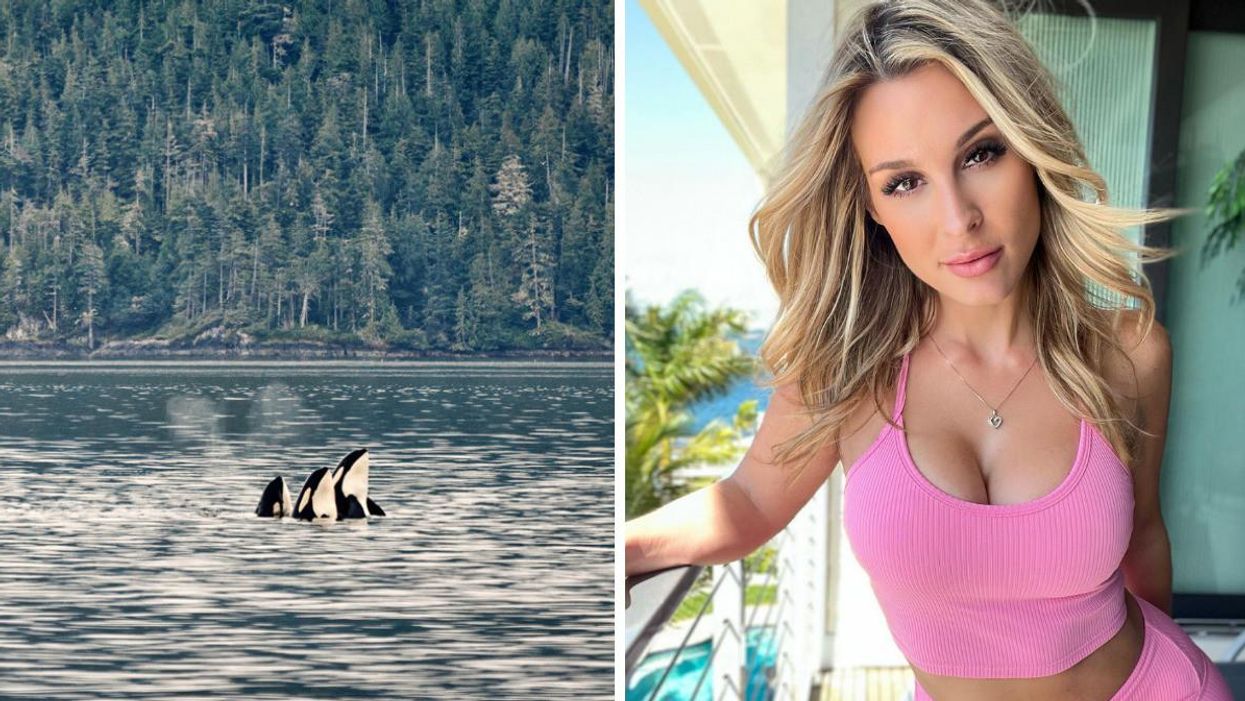 Three orcas in the ocean. Right: OnlyFans creator Allie Rae.