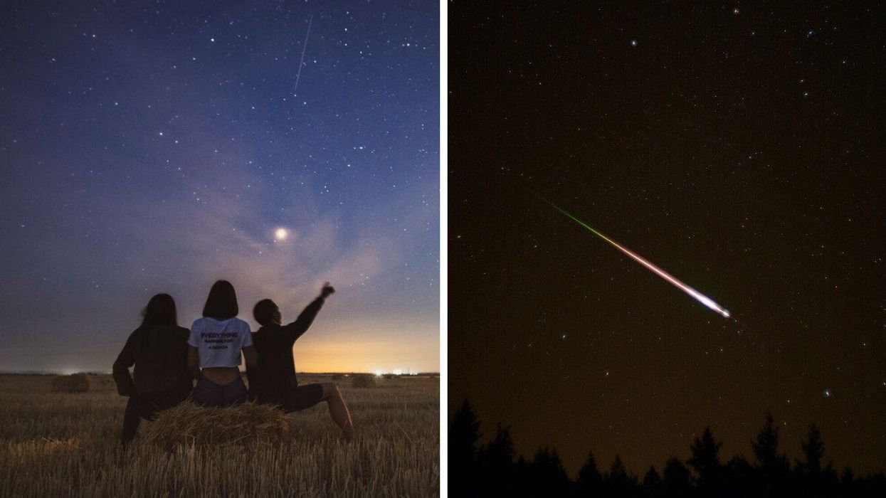 Three people look up at a sky full of stars while sitting in a field. Right: A bright Leonids meteor streaks through a dark sky.