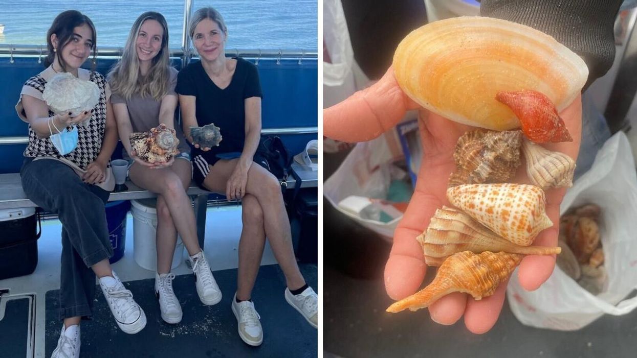 Three women holding giant seashells in Florida. Right: A person holding shells in Florida.