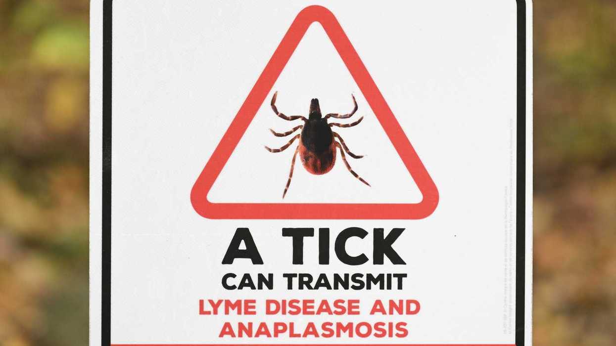 Tick-borne anaplasmosis on the rise, doctors caution