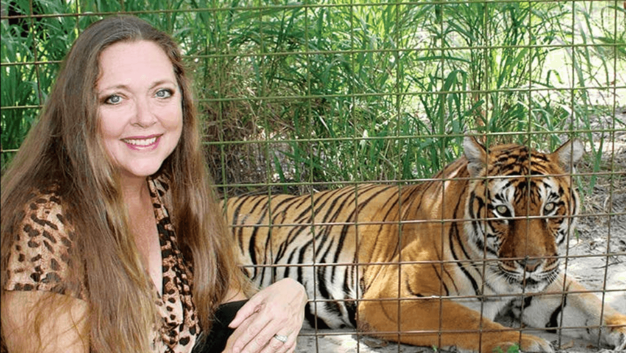 Tiger King Carole Baskin Tiger Attack Volunteer