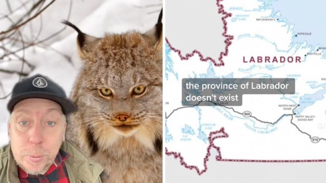 TikToker hubcityfoodies beside a lynx. Right: The province of Labrador.