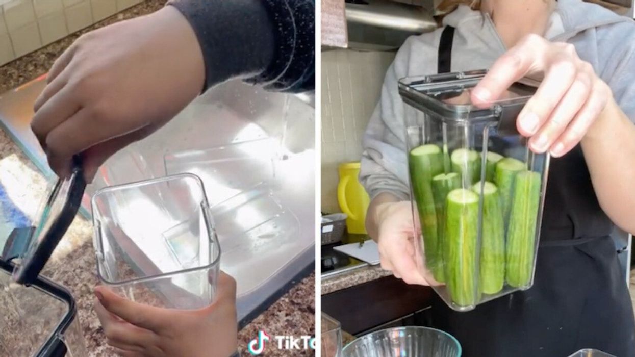 TikToker kelitaroutledge showing her Dollarama fridge organization hack.