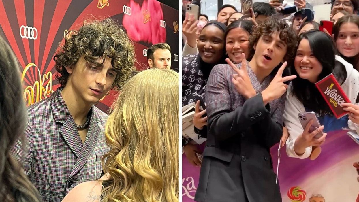 Timothee Chalamet on the red carpet. Right: Timothee Chalamet posing with a crowd of fans for photos.