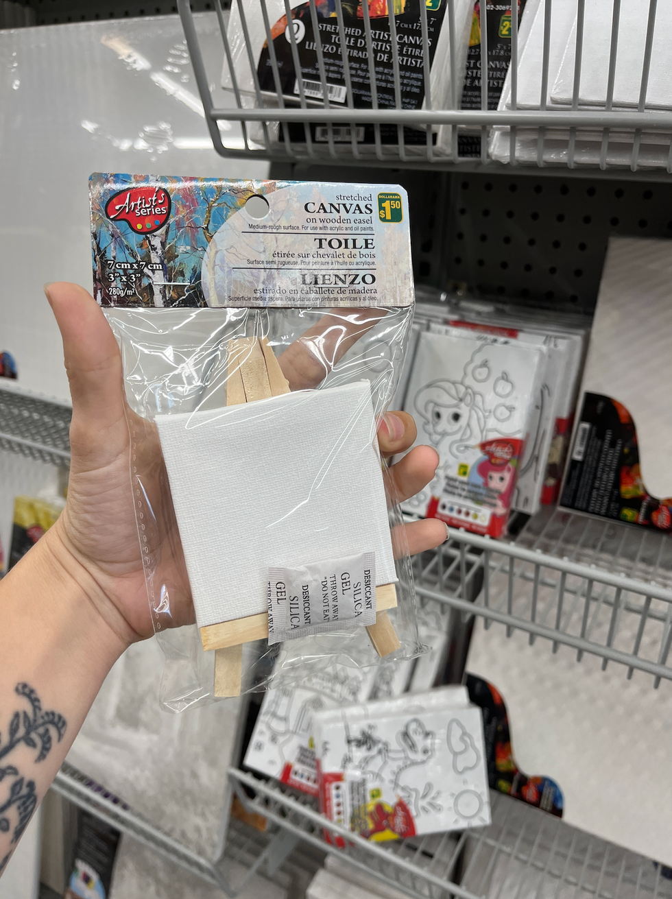 Toiles au Dollarama.