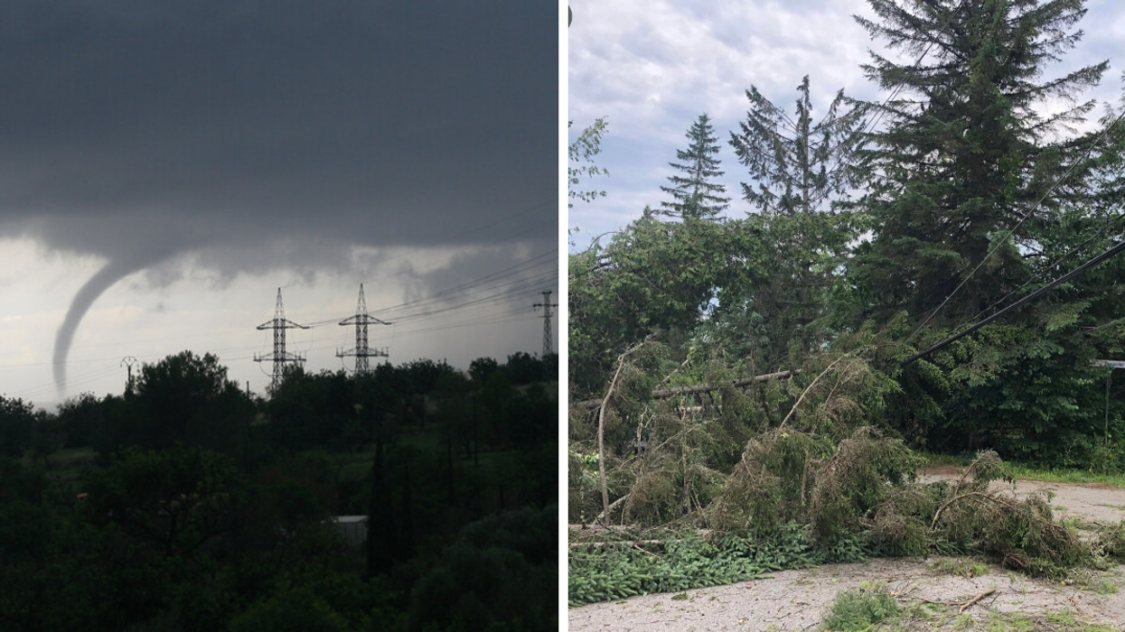 Tornade. Droite : Arbres tombés sur fil électrique.