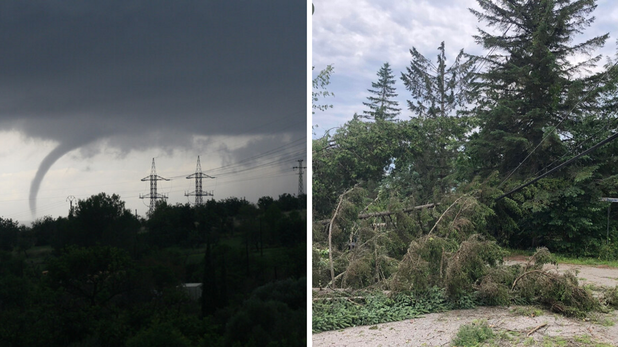 Tornade. Droite : Arbres tombés sur fil électrique.
