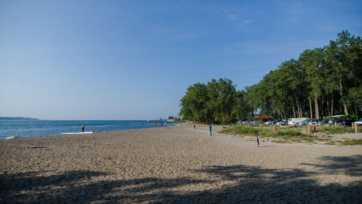 Toronto Chainsaw Fight At Cherry Beach Reportedly Broke Out On Sunday (VIDEO)