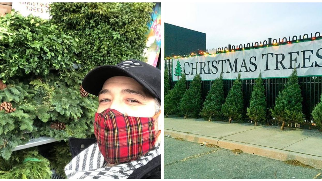 Toronto Christmas Tree Stores Say They're Going To Run Out Of Trees Way Earlier This Year