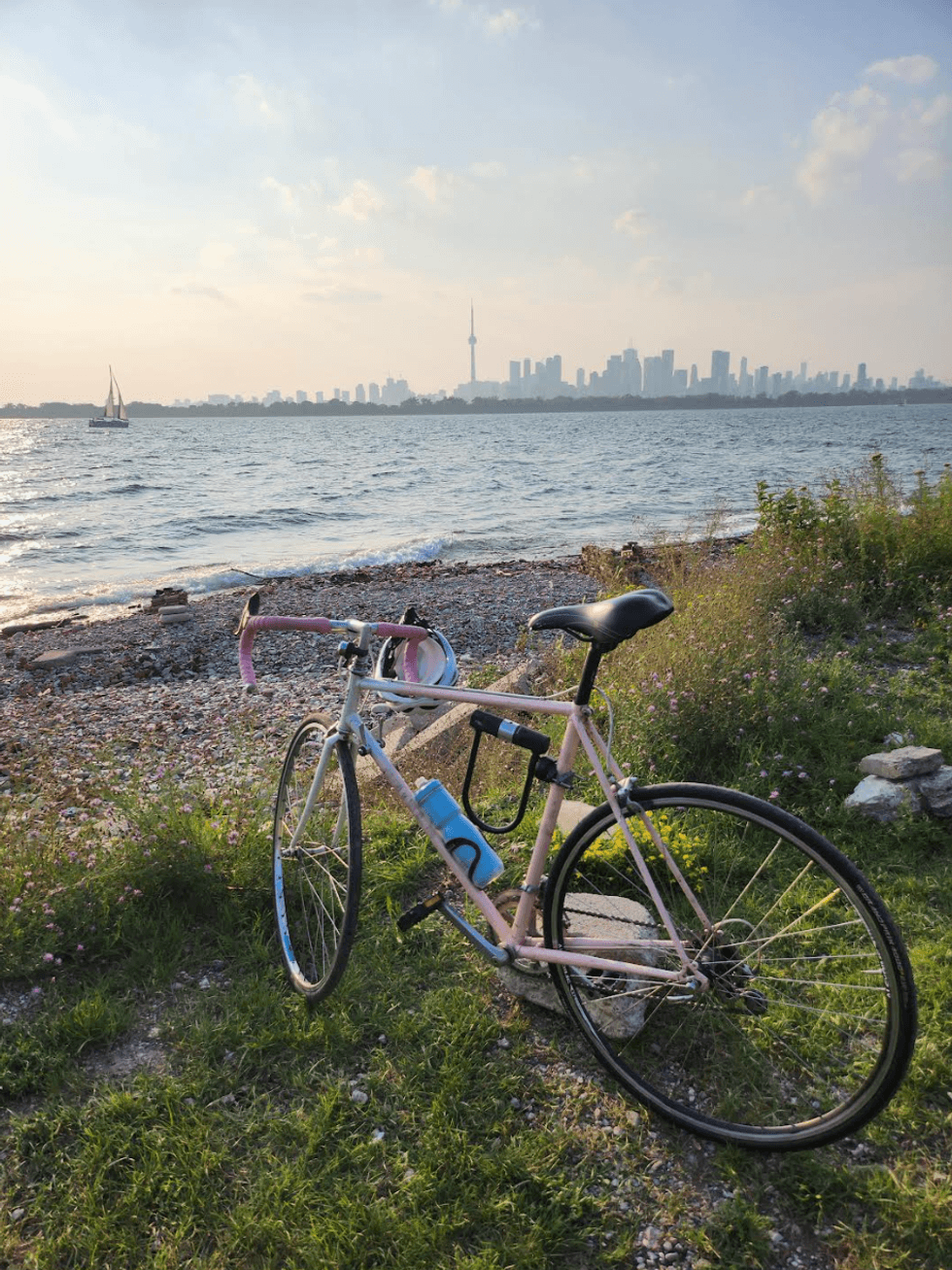 Toronto city skyline.
