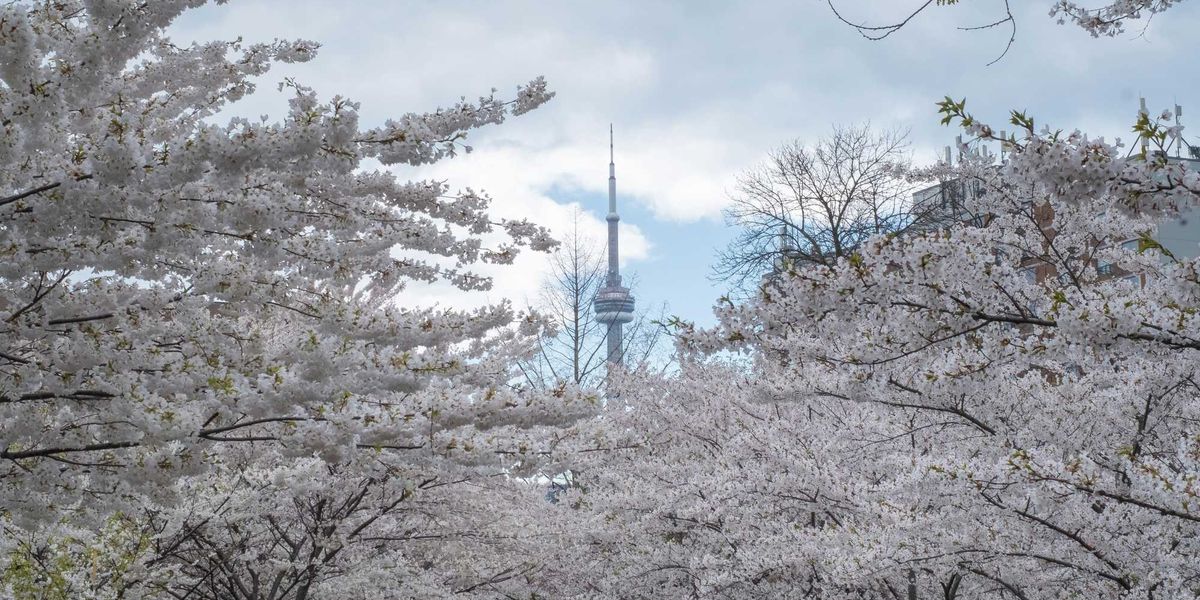 Here’s everything you need to know about what’s open and closed in Toronto on Good Friday Here’s everything you need to know about what’s open and closed in Toronto on Good Friday