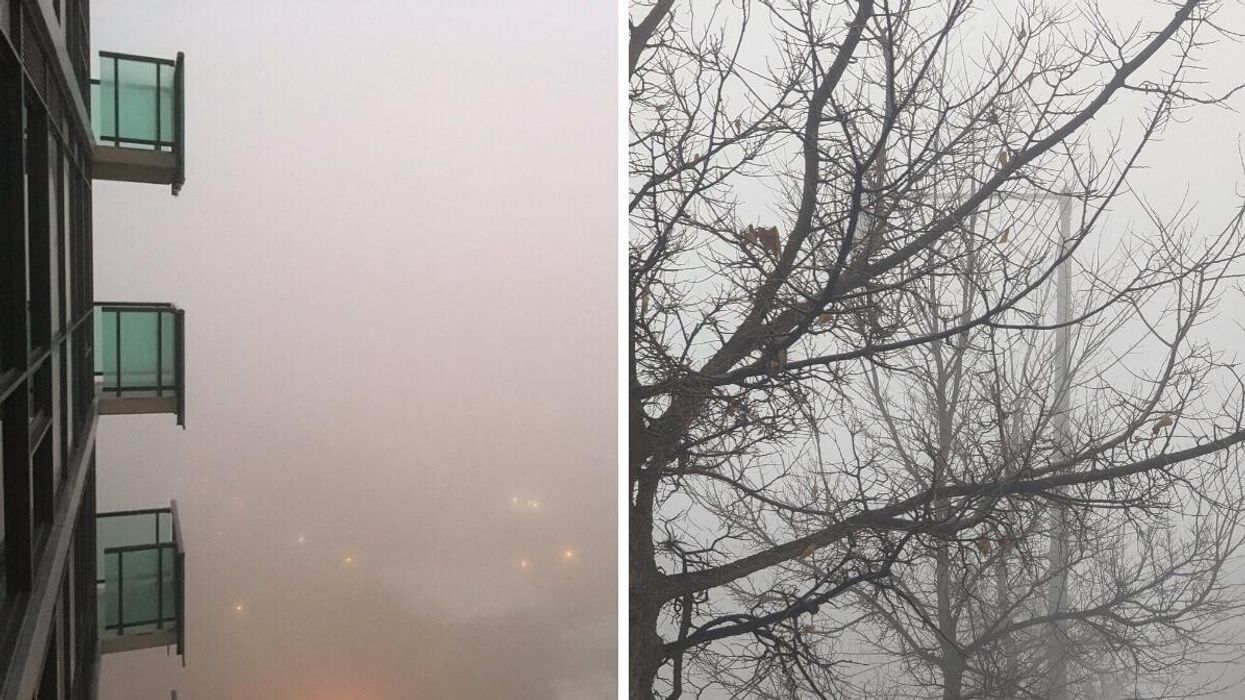 Toronto fog from a balcony. Right: Fog through some trees