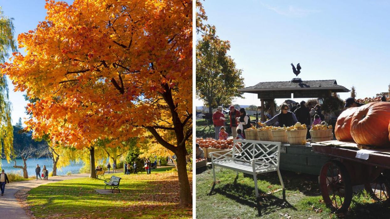 Toronto in the fall. Right: An Ontario pumpkin patch.