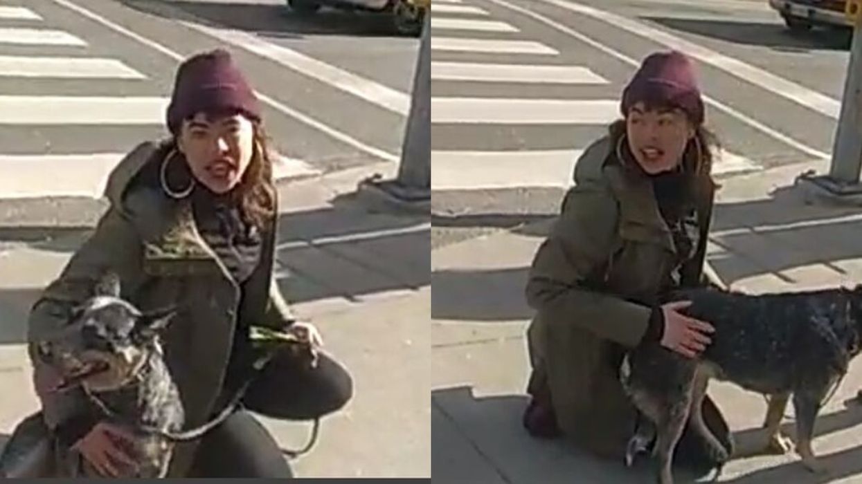 Toronto Police Are Looking For A Woman Accused Of Committing A 'Hate-Motivated' Assault Today