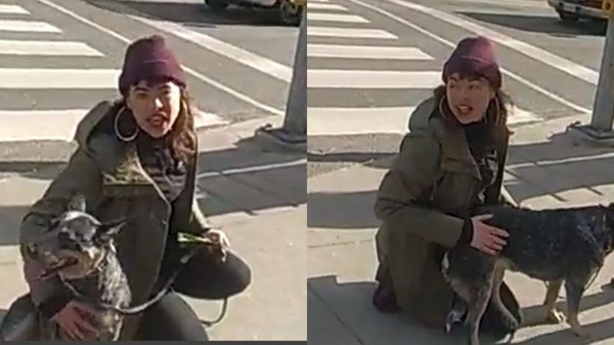 Toronto Police Are Looking For A Woman Accused Of Committing A 'Hate-Motivated' Assault Today