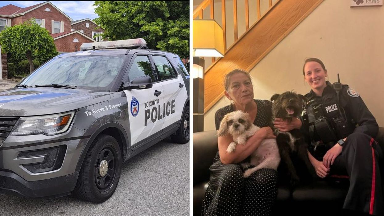 Toronto police cruiser. Right: The dogs' owner and an officer.