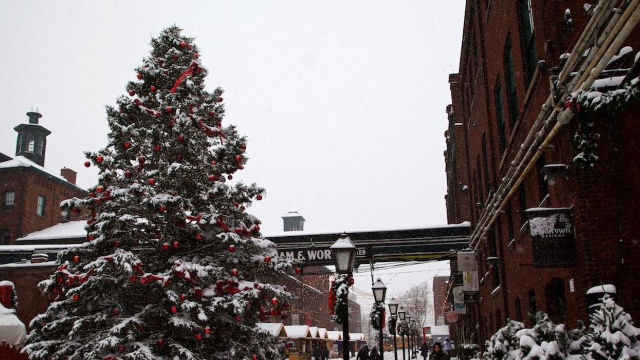 Toronto's Distillery Xmas Tree Is Being Lit Up This Week With 60,000 Sparkling Lights