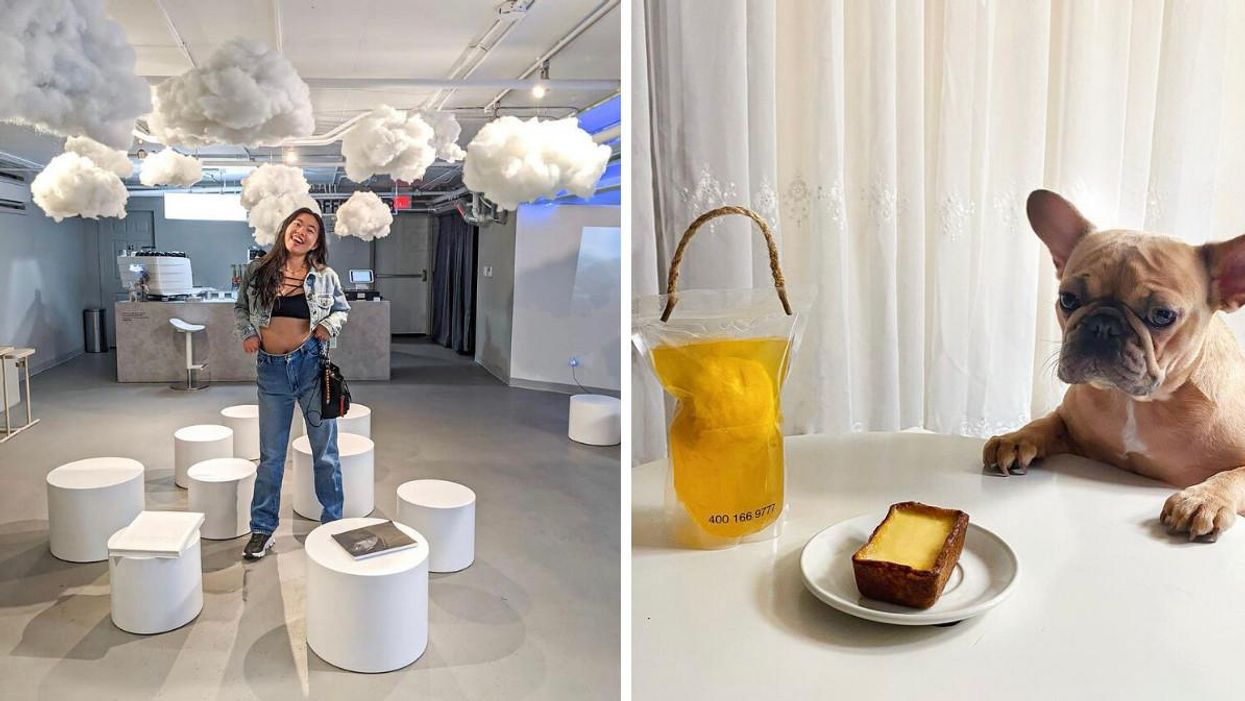 Toronto's Dreamy Café Has New Installations Each Month & A Dog That Greets You At The Door