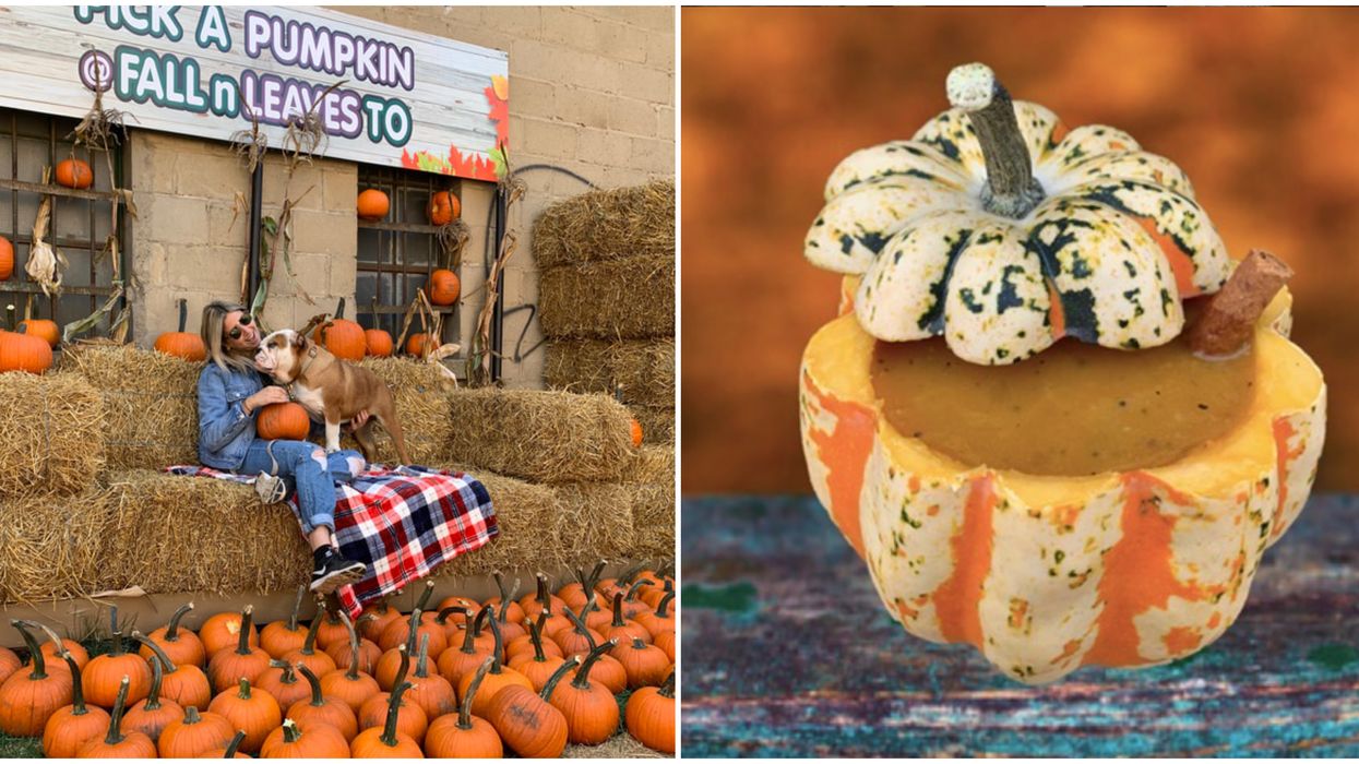 Toronto's Fall N' Leaves Patio Opening Next Month Is An Autumn Lover's Paradise