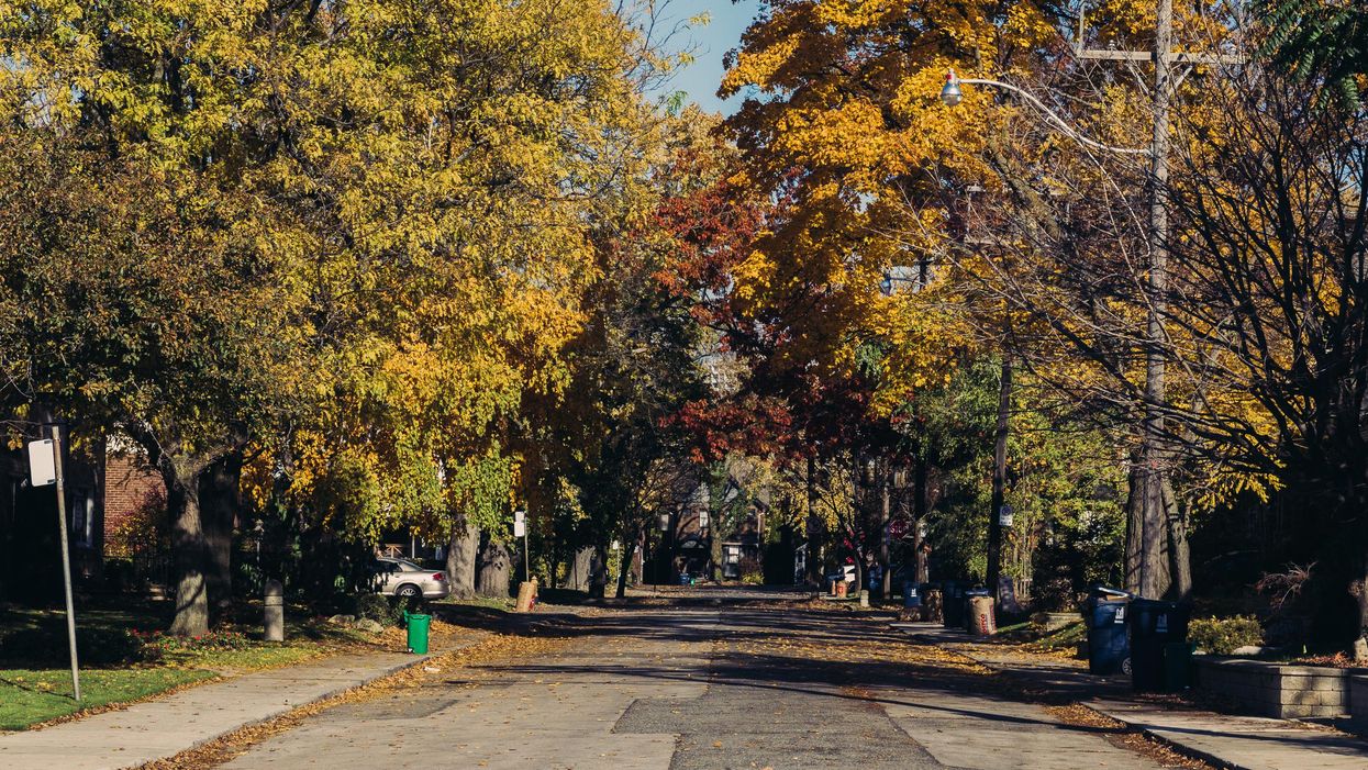 Toronto's Halloween Weather Will Be So Sunny This Year & You Can Ditch The Winter Coat