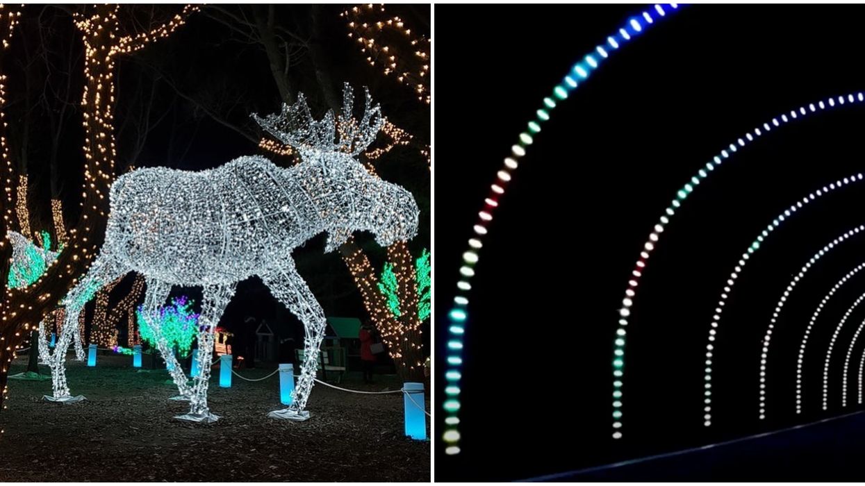 Toronto's Holiday Nights Of Lights Will Take You Along An Illuminated Christmas Trail
