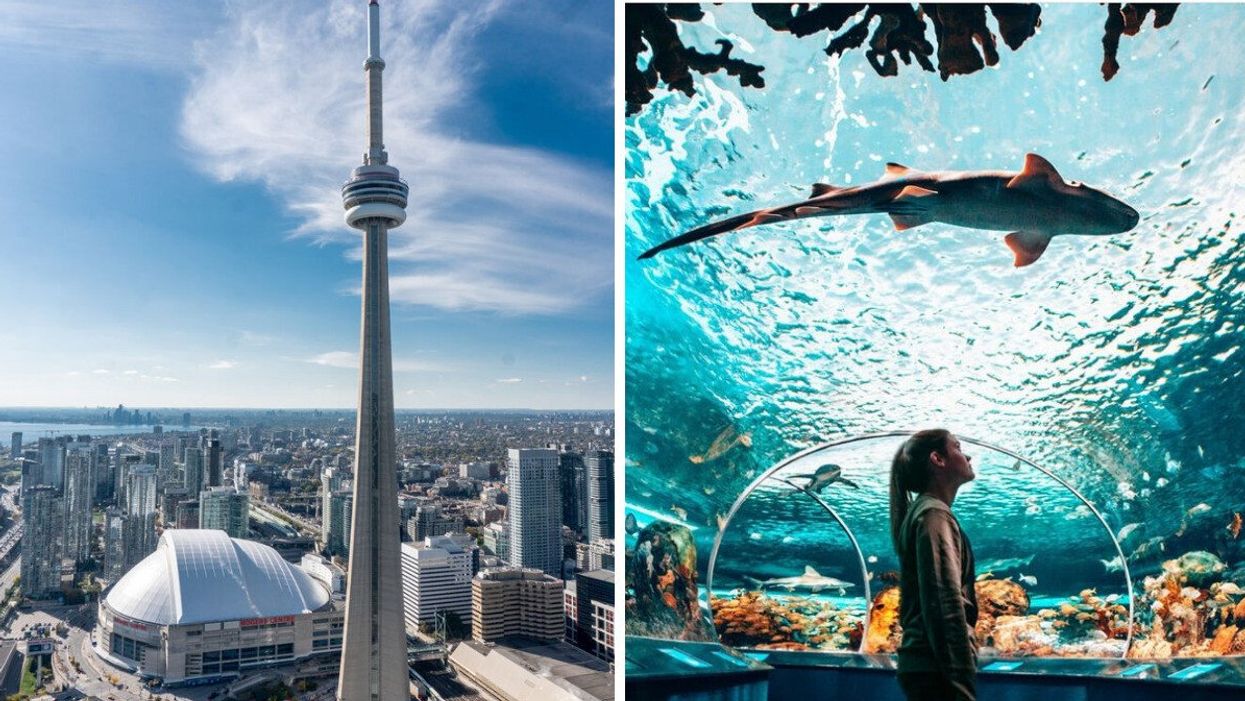 Toronto's iconic CN Tower. Right: The shark tunnel at Ripley's Aquarium.