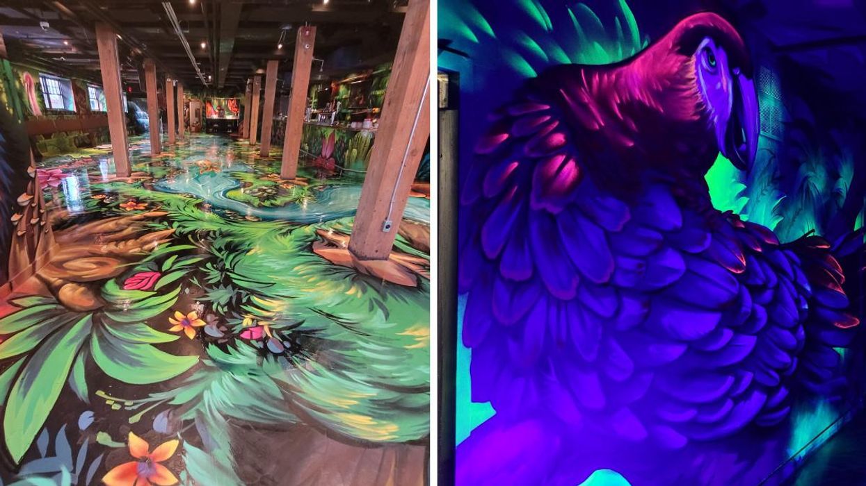Toronto's Immersive New Bar Has 'Avatar' Vibes & Is Full Of Ever-Changing Art (PHOTOS)