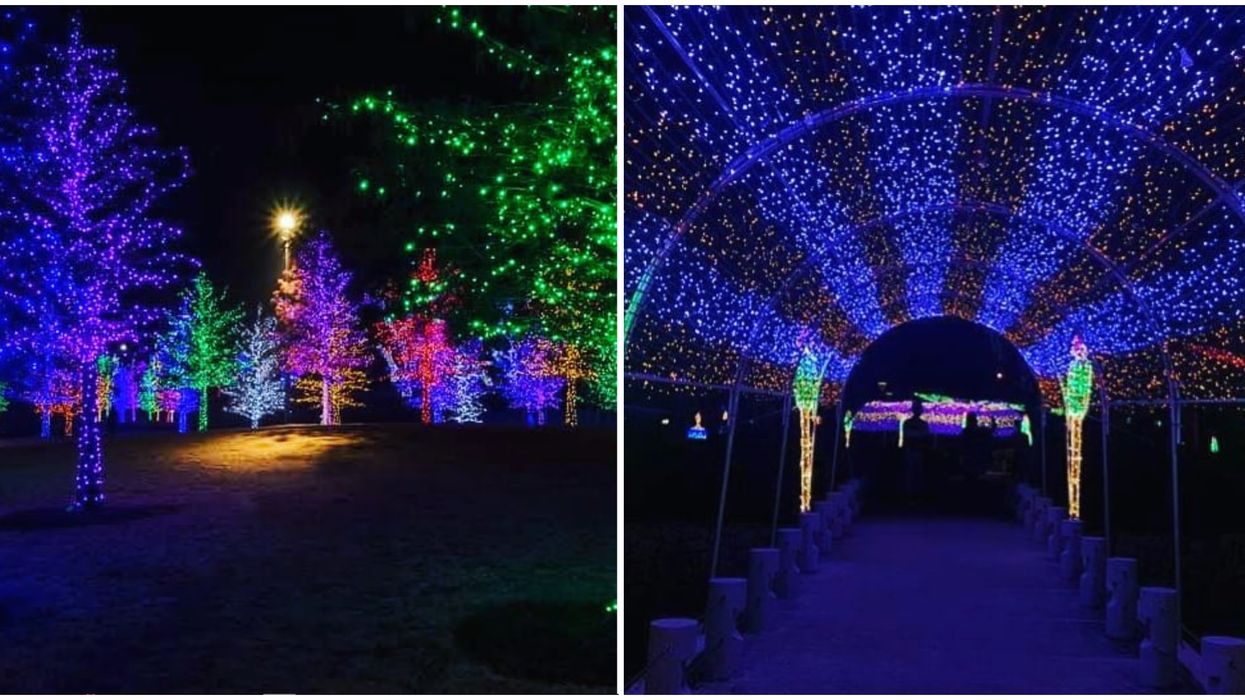 Toronto's Journey Into Enchantment Lets You Drive Through A Glowing Wonderland Next Month