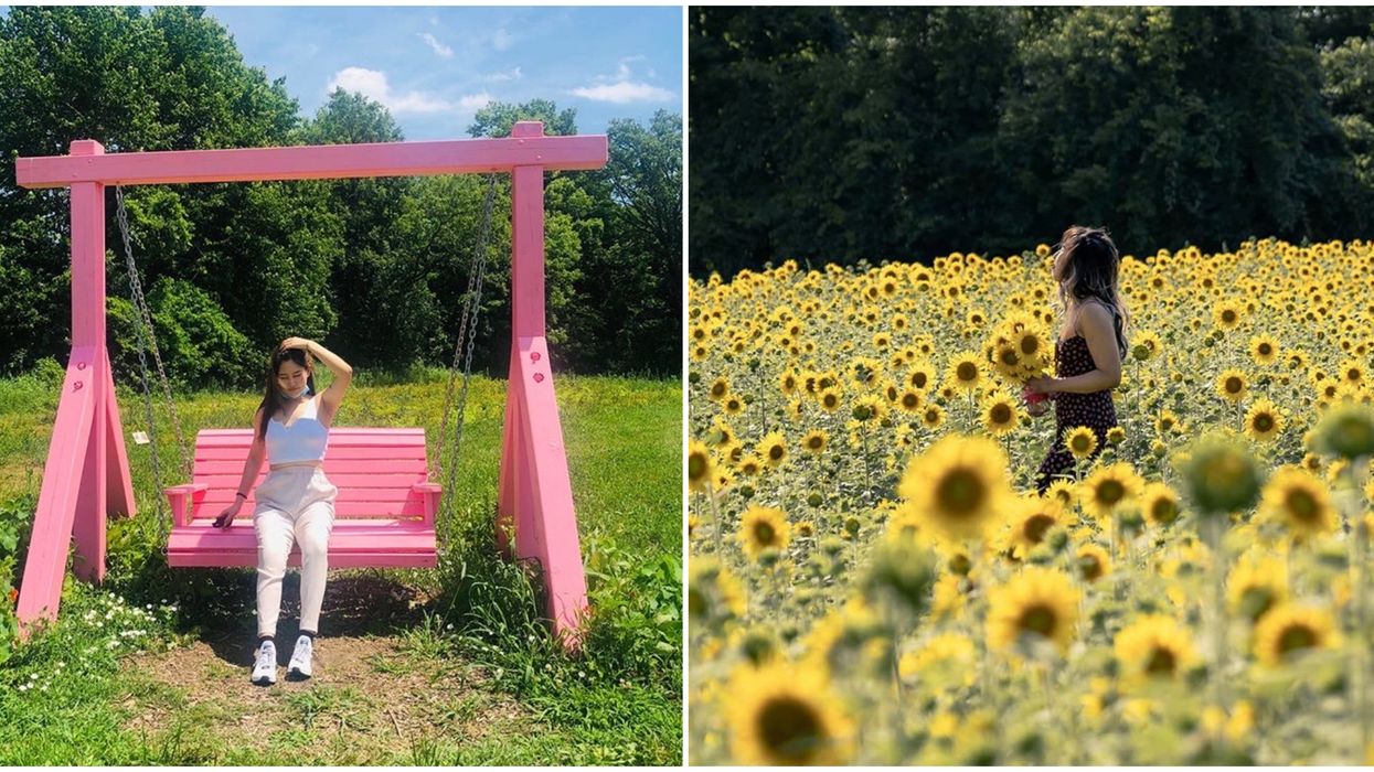 Toronto's Lochland Botanical Flower Farm Is Like Stepping Into A Fairytale
