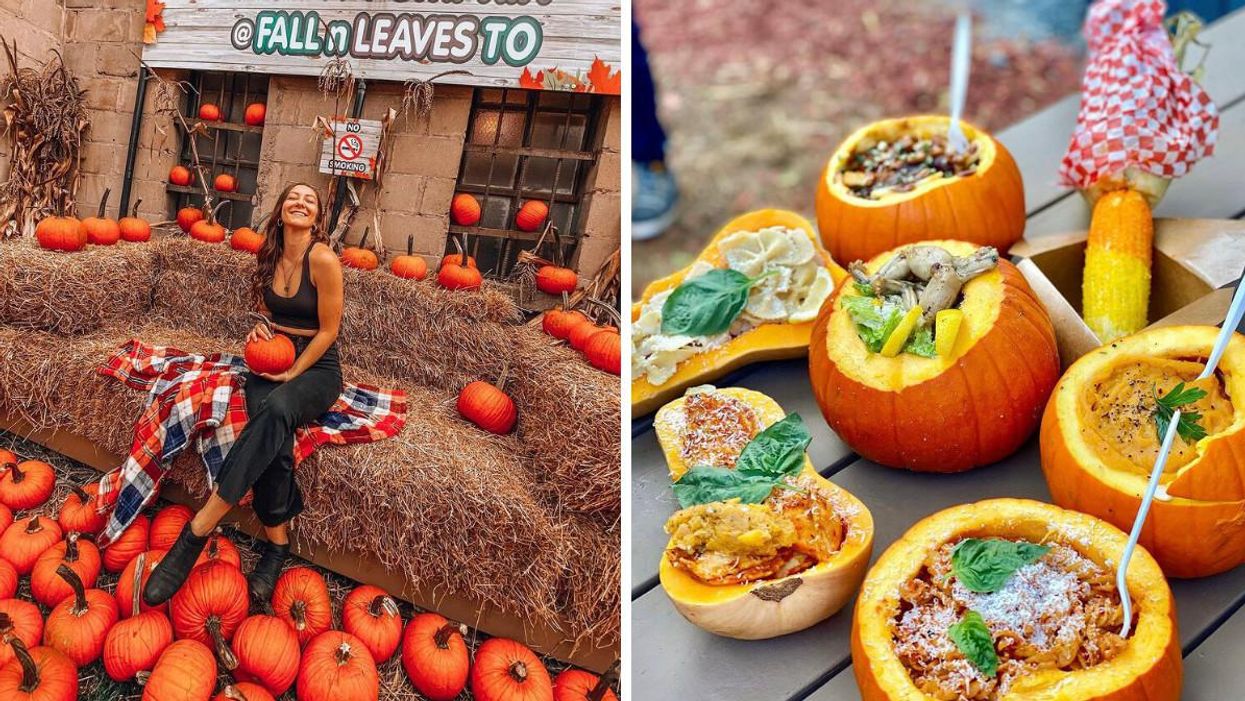 Toronto's Magical Fall Patio Is Returning & You Can Eat Autumn Treats Out Of A Pumpkin