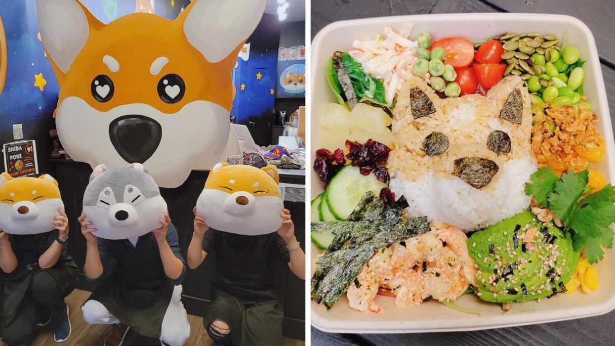 Toronto's New Shiba Inu-Themed Restaurant Is A Pup Paradise With Poke Bowls & Bubble Tea