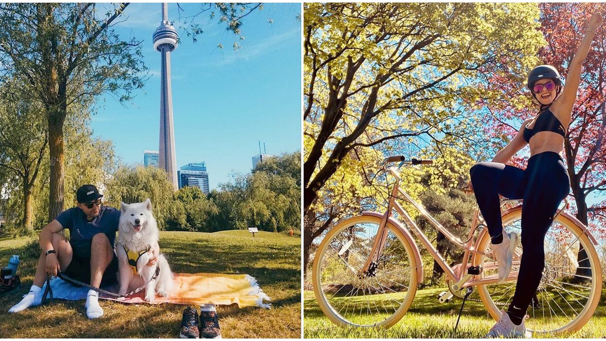 Toronto's Shady Parks Have Tons Of Trees To Nap Under