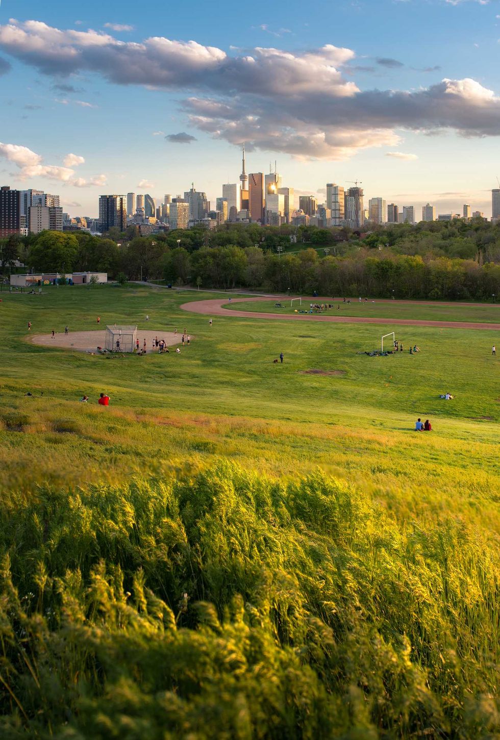 Toronto's skyline from a grassy hill