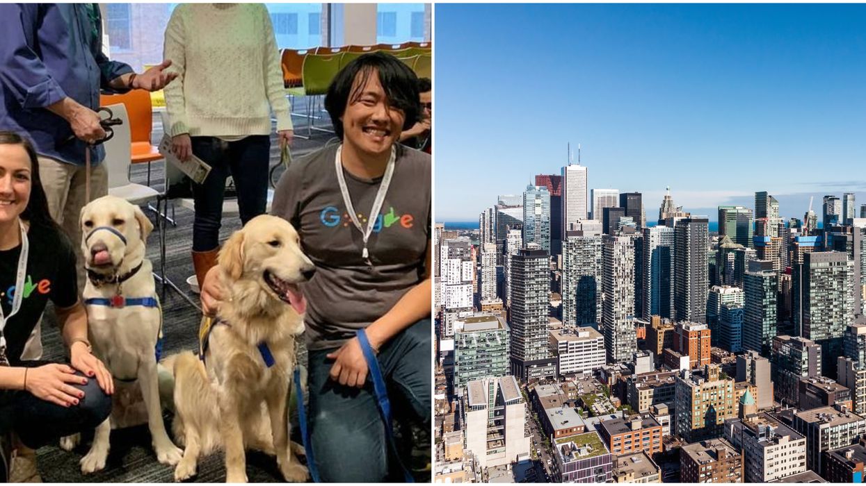 Toronto's Tech Industry Is The Best In North America And These Jobs Prove It