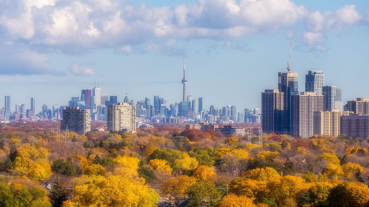 Toronto skyline behind trees that have changed colour for fall.