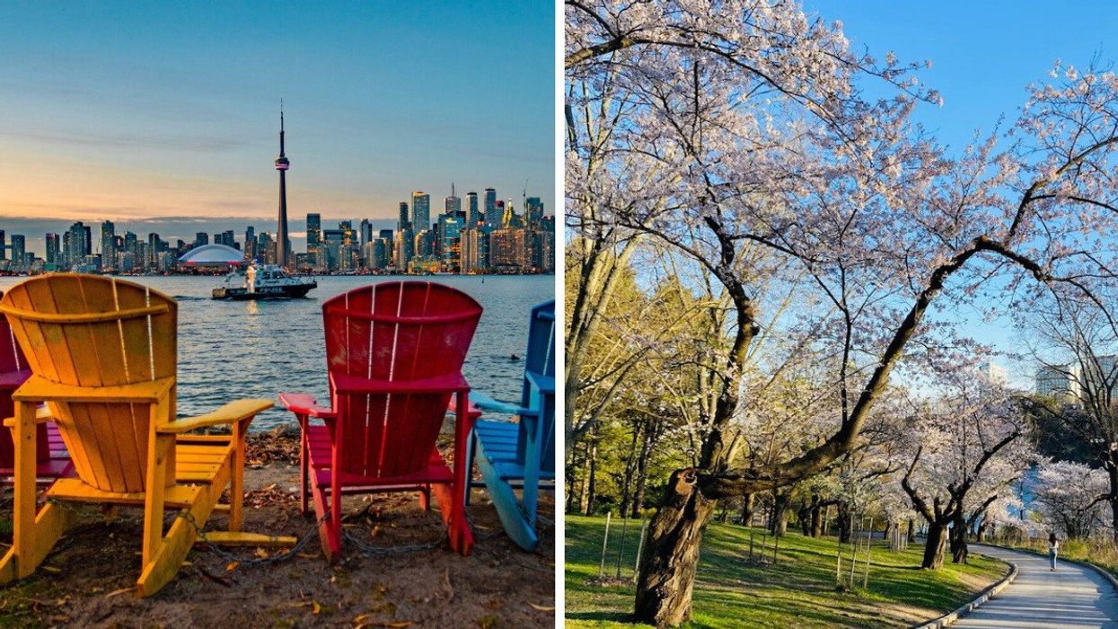 Toronto skyline from the islands. Right: High Park in bloom.