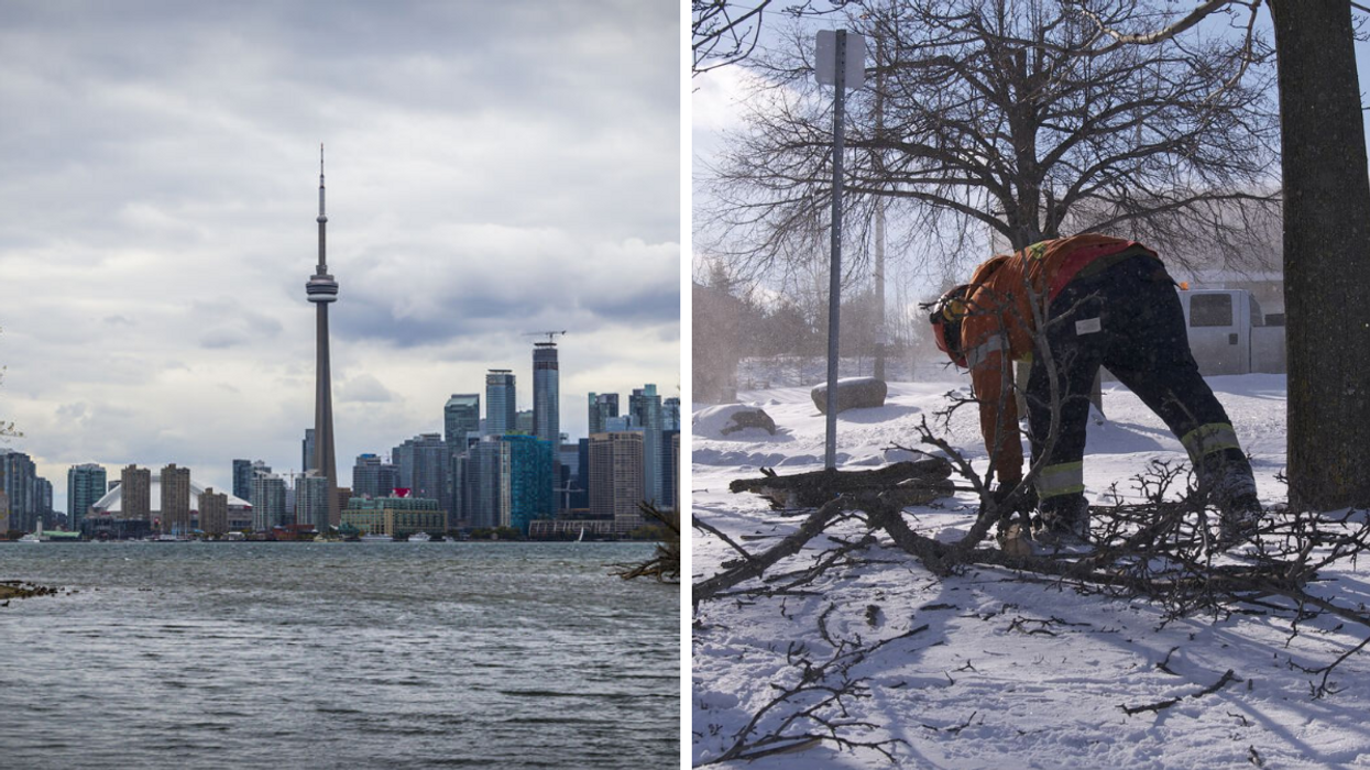 Toronto Skyline. Right: A person picking up branches.