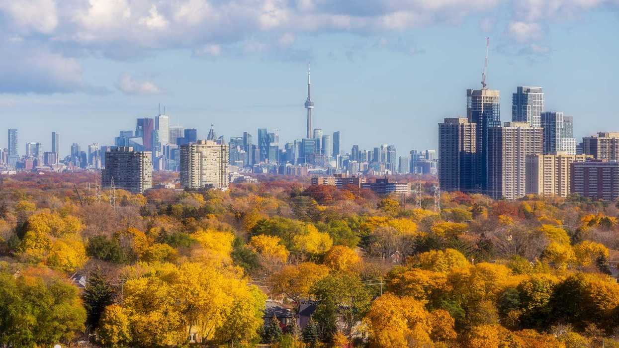 toronto skyline with cn tower behind fall coloured trees