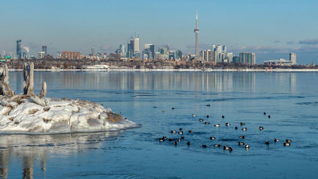 Toronto winter skyline.