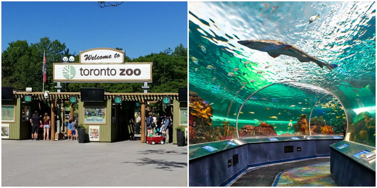 Toronto Zoo Jobs