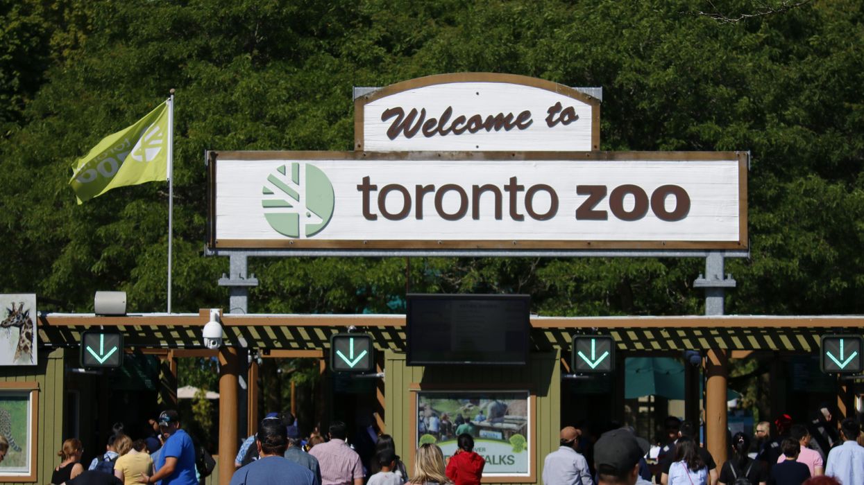 Toronto Zoo Is Open For Booster Dose Appointments & There Will Be Thousands Of Bookings