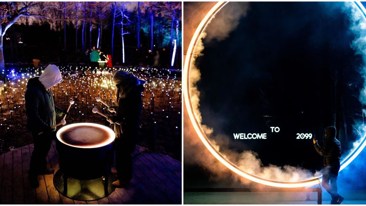 Toronto Zoo's Terra Lumina Is Returning This Month & Tickets Are On Sale Now
