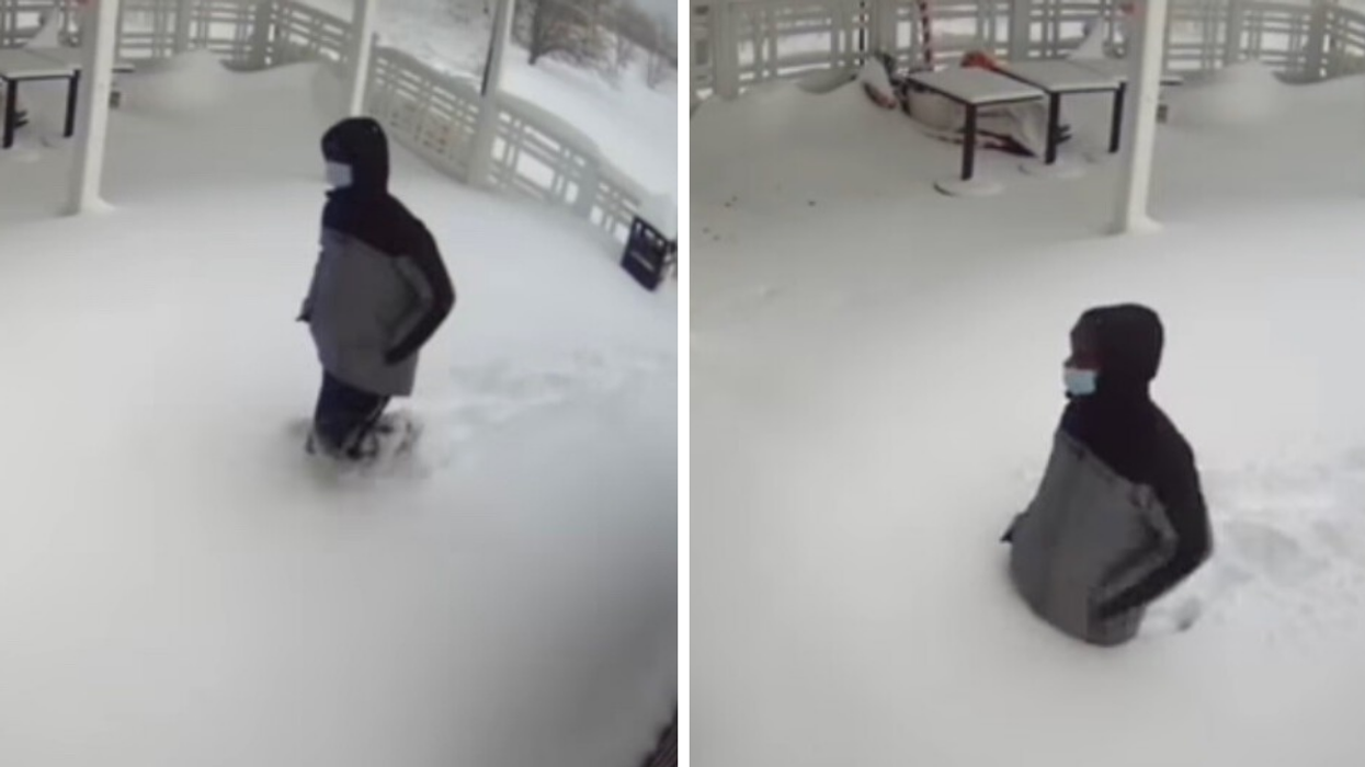 Torontonian Walked In A Blizzard To A Resto & Fell To Their Knees When It Was Closed (VIDEO)