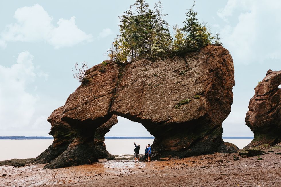 Tourists at Hopewell Rocks.