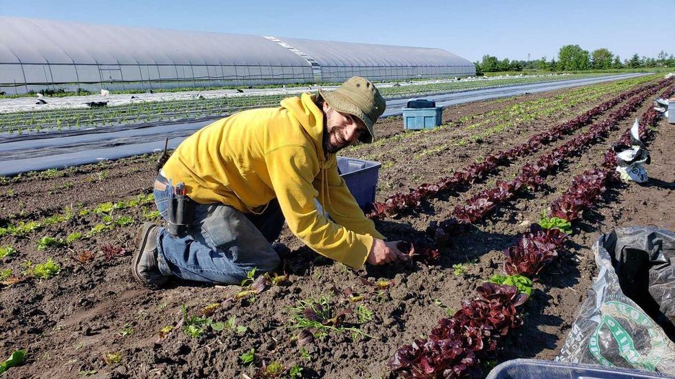Trade tensions spur fresh interest in local food