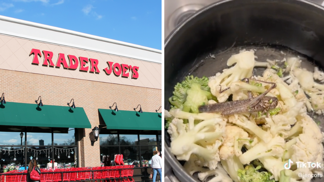 Trader Joe's. Right: A grasshopper in the vegetables.
