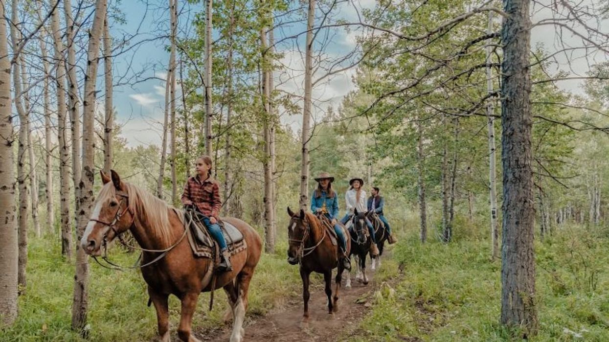 Trail riding in the Kananaskis Valley at Boundary Ranch.
