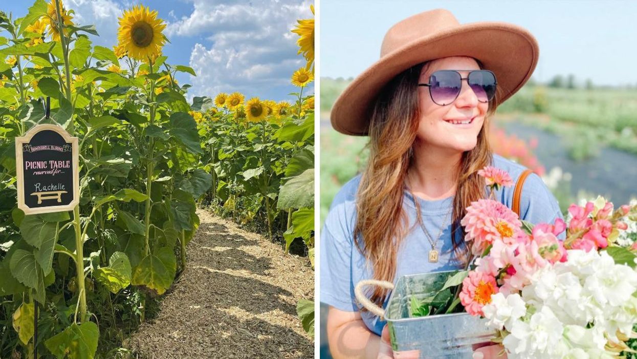Trail through sunflowers. Right: Woman wearing a hat holding a bucket of flowers.
