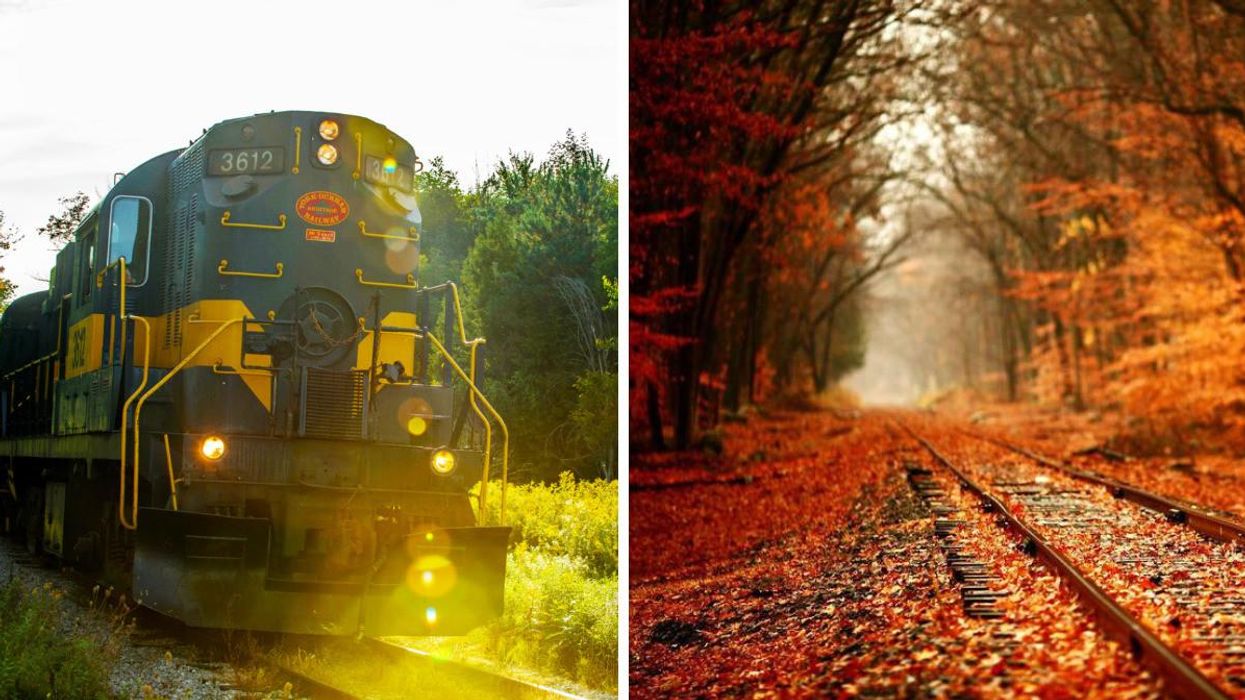 Train driving past trees. Right: Railway tracks surrounded by fall colours.
