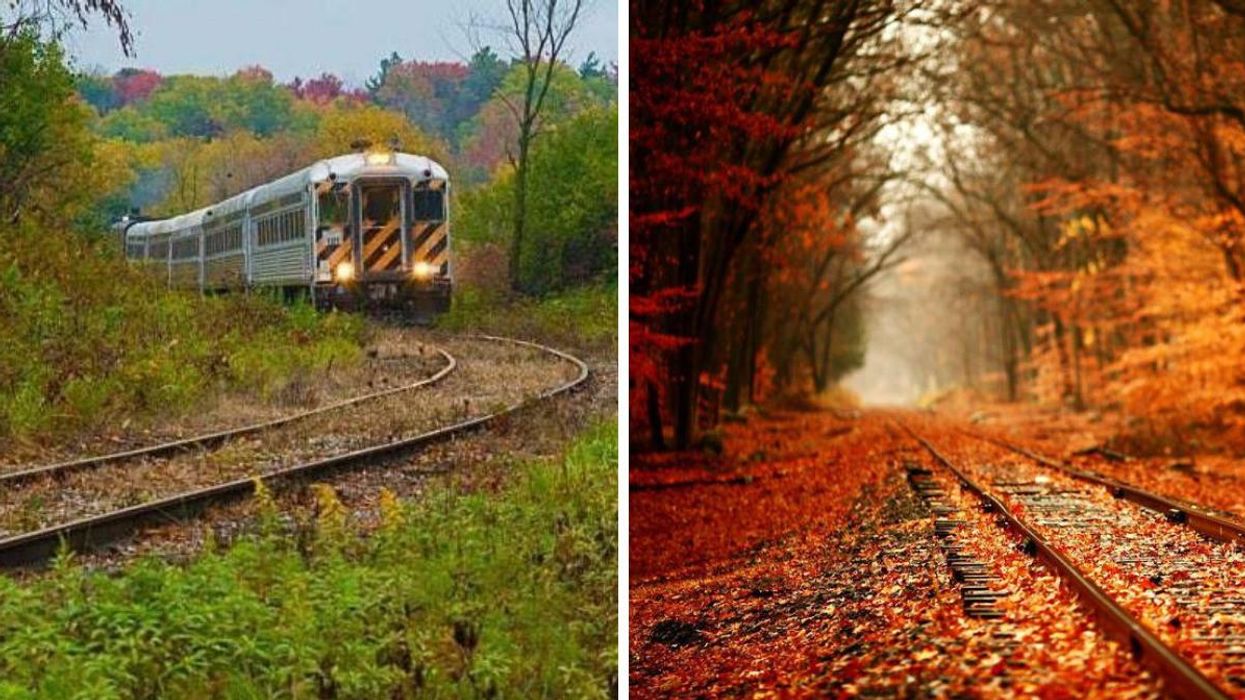Train driving through fall colours. Right: Train tracks covered in fall leaves.